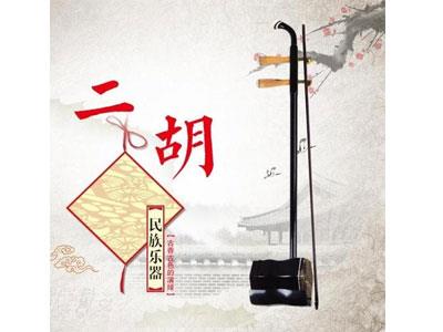 招聘衡阳二胡家教老师